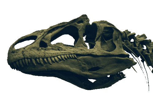 Jurassic Matrix Logo - Big Al